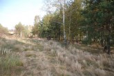 nieruchomości, łódź, biura nieruchomości, axiom, sprzedam działkę, sprzedam dom, nieruchomości komercyjne, sprzedam teren inwestycyjny