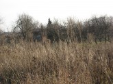 nieruchomości, łódź, biura nieruchomości, axiom, sprzedam działkę, sprzedam dom, nieruchomości komercyjne, sprzedam teren inwestycyjny