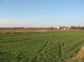 nieruchomości, łódź, biura nieruchomości, axiom, sprzedam działkę, sprzedam dom, nieruchomości komercyjne, sprzedam teren inwestycyjny